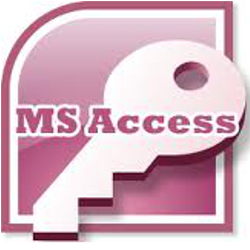 MS Access programmer Raleigh NC